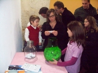 100_1413.JPG